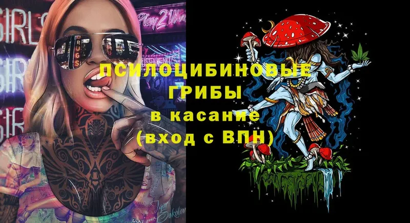 Галлюциногенные грибы Psilocybe  купить наркотик  Рыбинск 